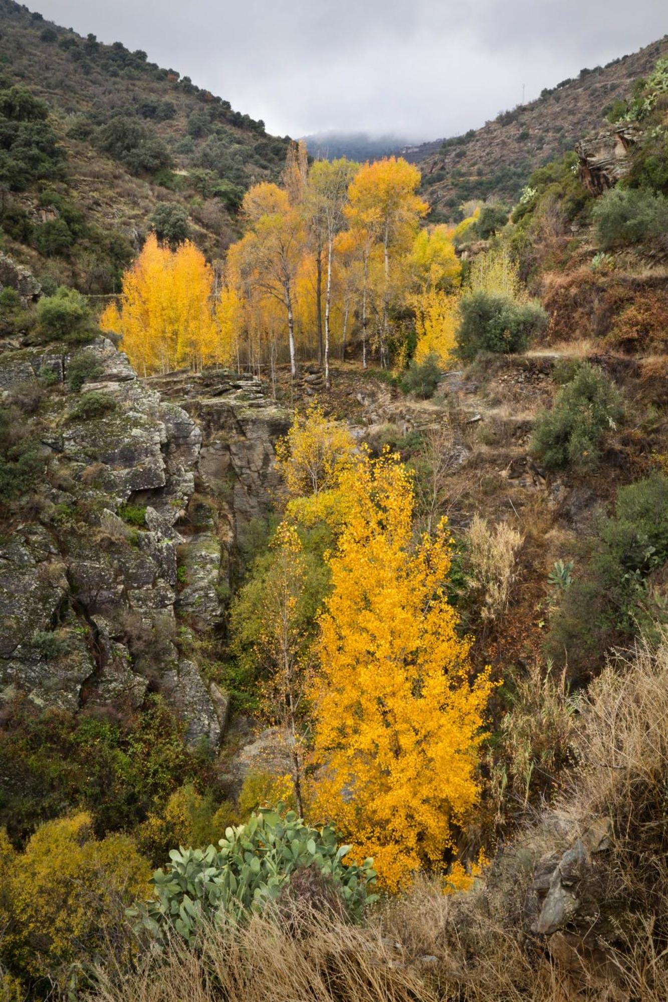Reul Alto Cortijos Rurales Laroya Exterior foto