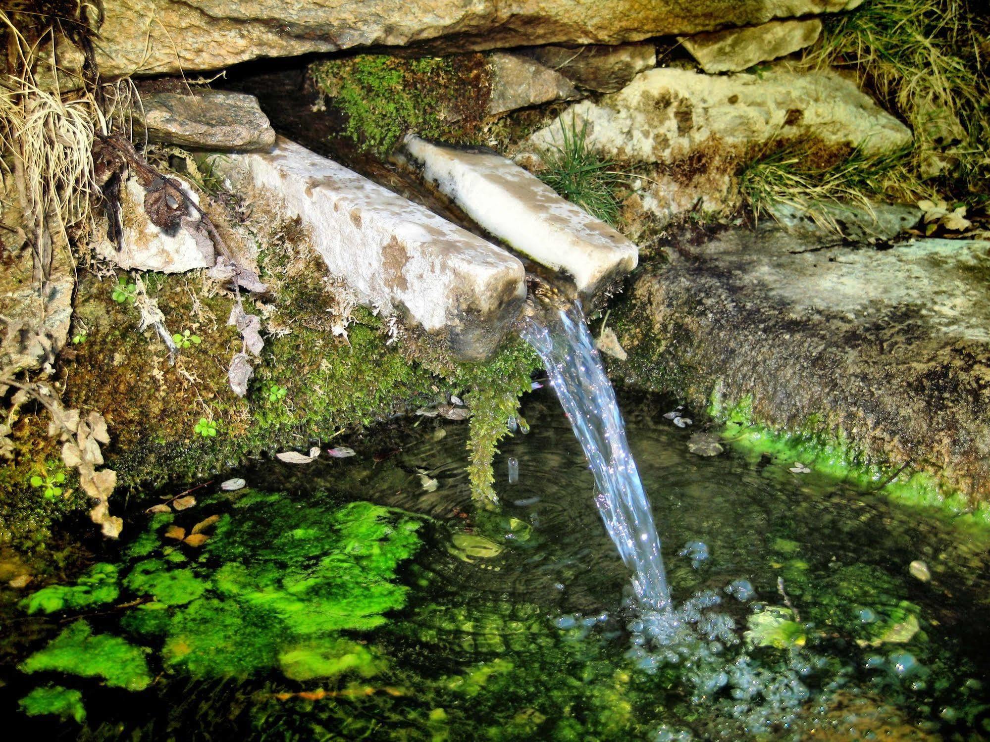 Reul Alto Cortijos Rurales Laroya Exterior foto